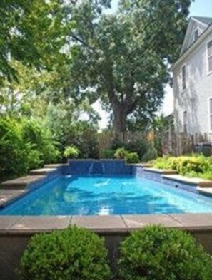 A rectangular swimming pool with a tiled edge, surrounded by lush greenery and a stone wall. - Fig Tree Manor (Palestine)