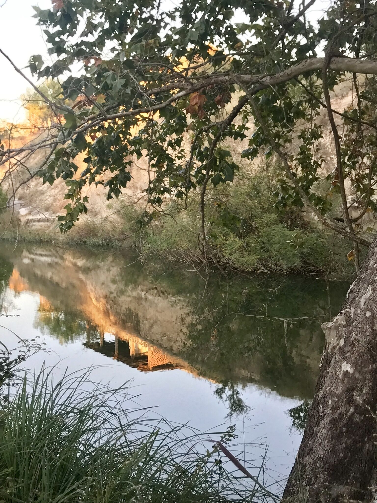 A calm river with reflections of trees and a clear sky.