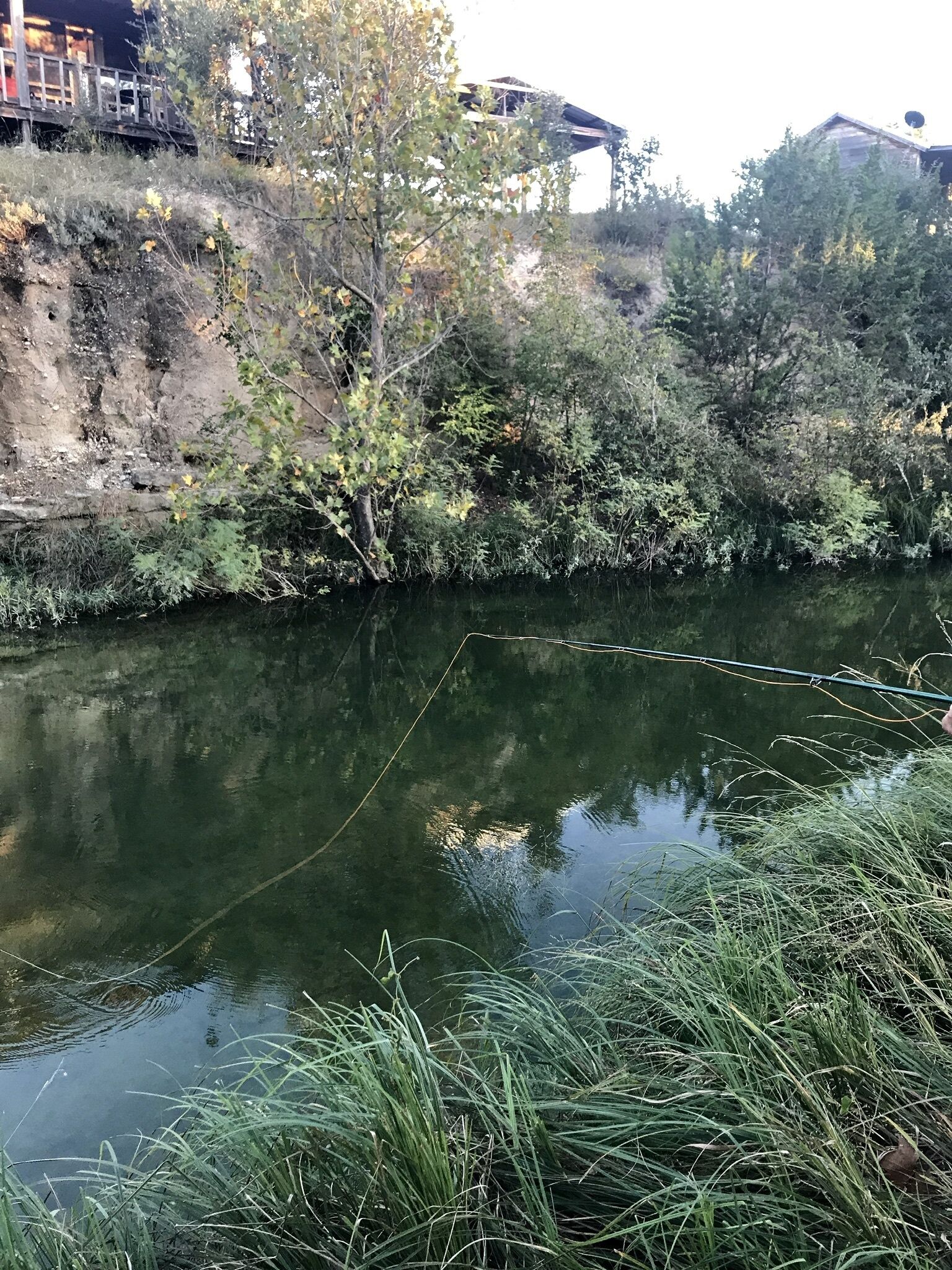 Un río con vegetación densa y un puente al fondo.