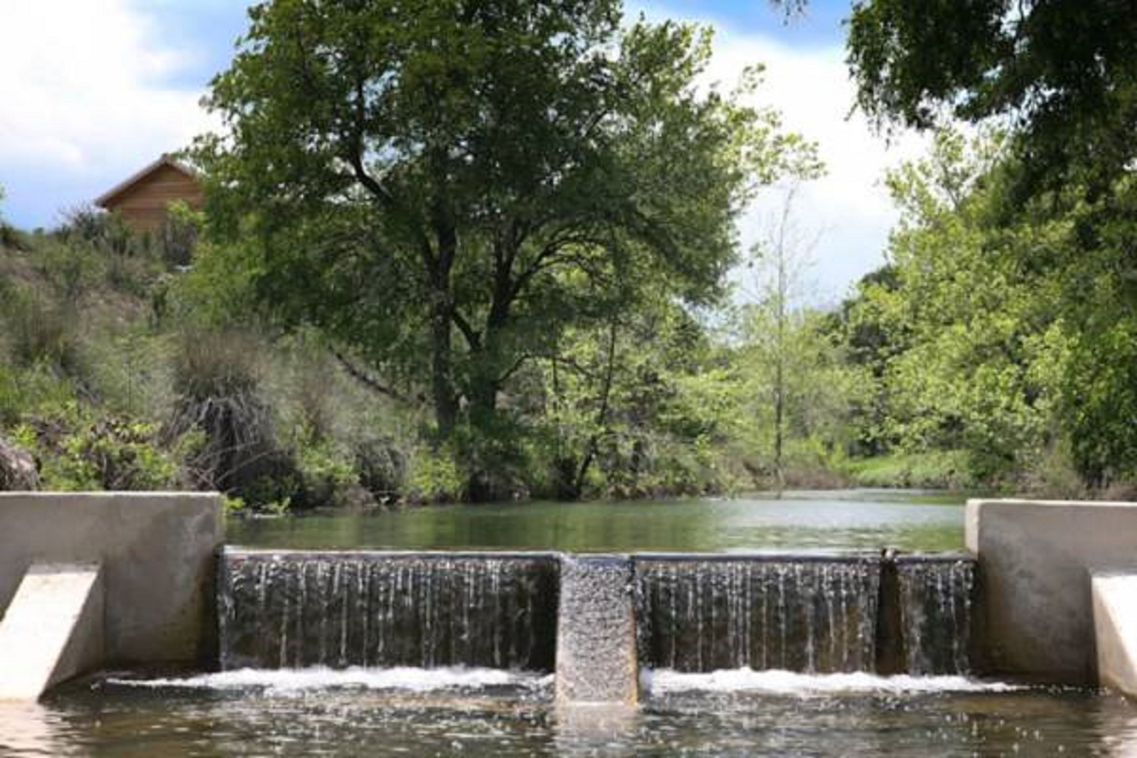 A concrete water feature with a small waterfall, surrounded by lush greenery and trees.