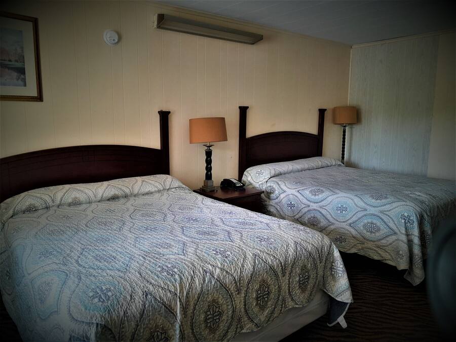 Habitación de hotel con dos camas individuales, cada una con cubrecama estampado, lámparas de noche y una mesita con teléfono.