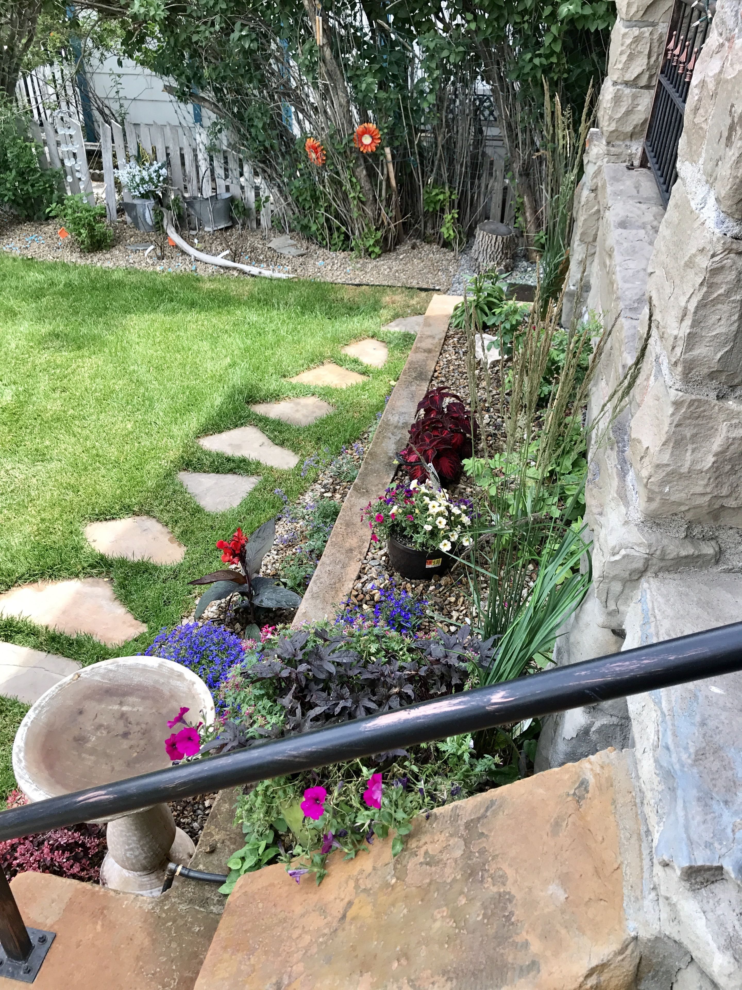 Un jardín con un sendero de piedra, diversas plantas en macetas y una valla de madera al fondo.