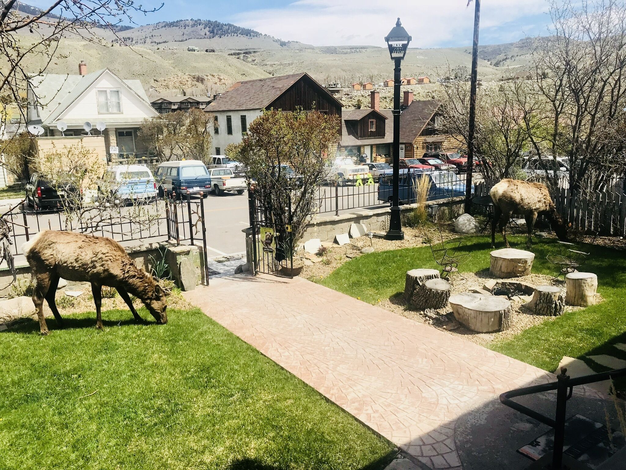 202 king historical suite mountain view. | view from room