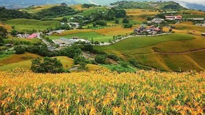 Un paysage rural avec des collines ondoyantes, un champ de maïs au premier plan et des bâtiments dispersés coiffés de toits rouges.