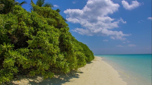 Una spiaggia con acque cristalline color turchese e sabbia bianca, circondata da una vegetazione verdeggiante.