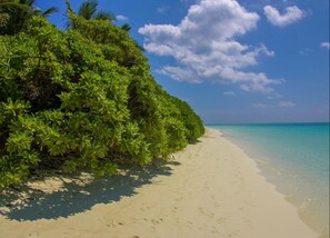 A beach with clear turquoise water and white sand, surrounded by lush green vegetation. - Thoddoo Retreat (Thoddoo)