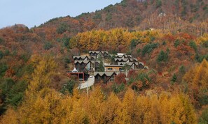 Property grounds - Chalet Resort (Pyeongchang)