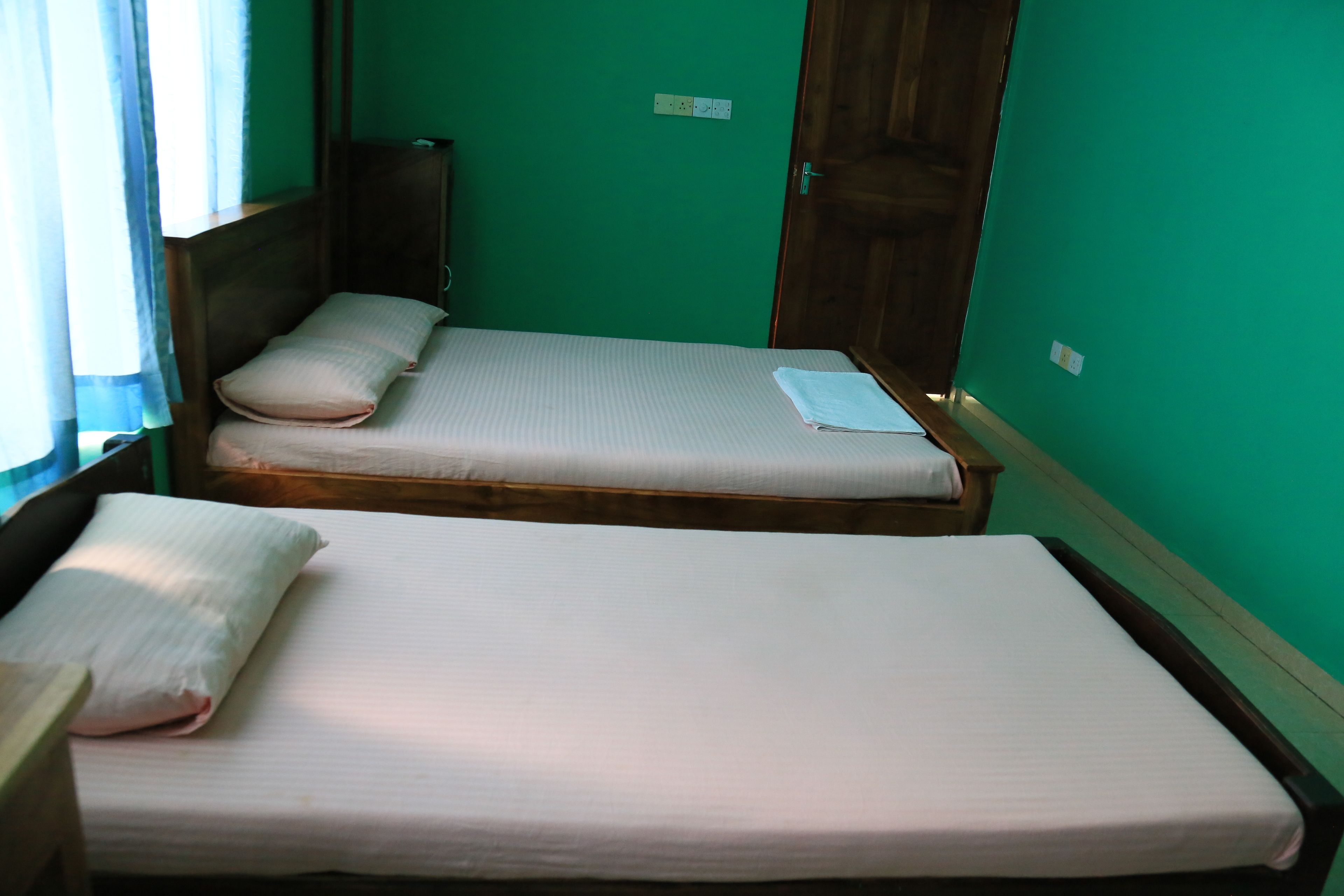 Una habitación con dos camas individuales, cabeceros de madera y paredes verdes.