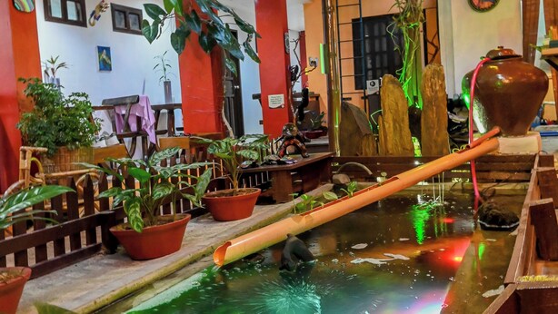 An indoor pool with wooden barriers, potted plants, and a ceiling with green lighting.