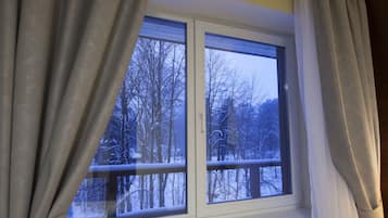 Standard Double or Twin Room (+) | View from room