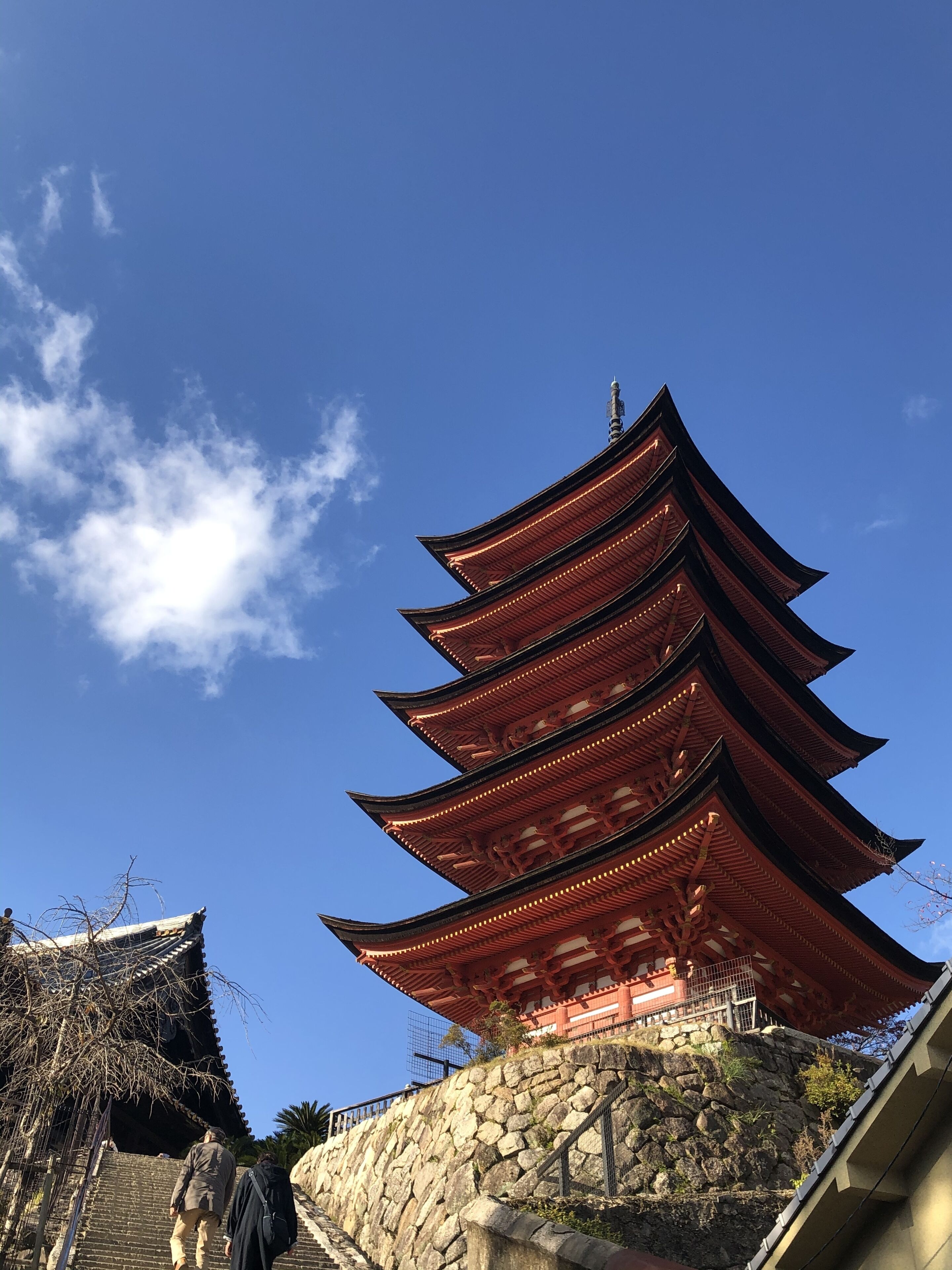 兴趣点