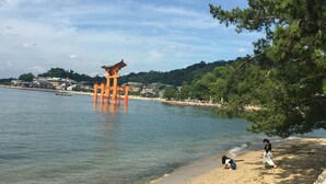 Ein Strand mit einem traditionellen japanischen Torii-Tor im Wasser, einem sandigen Ufer und einer Person mit einem Hund.
