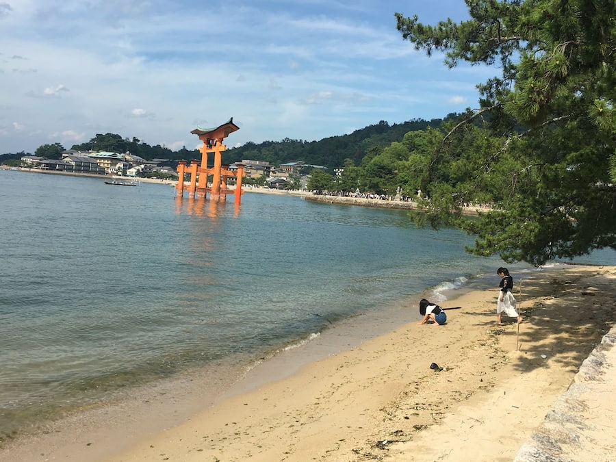 Beach nearby, white sand