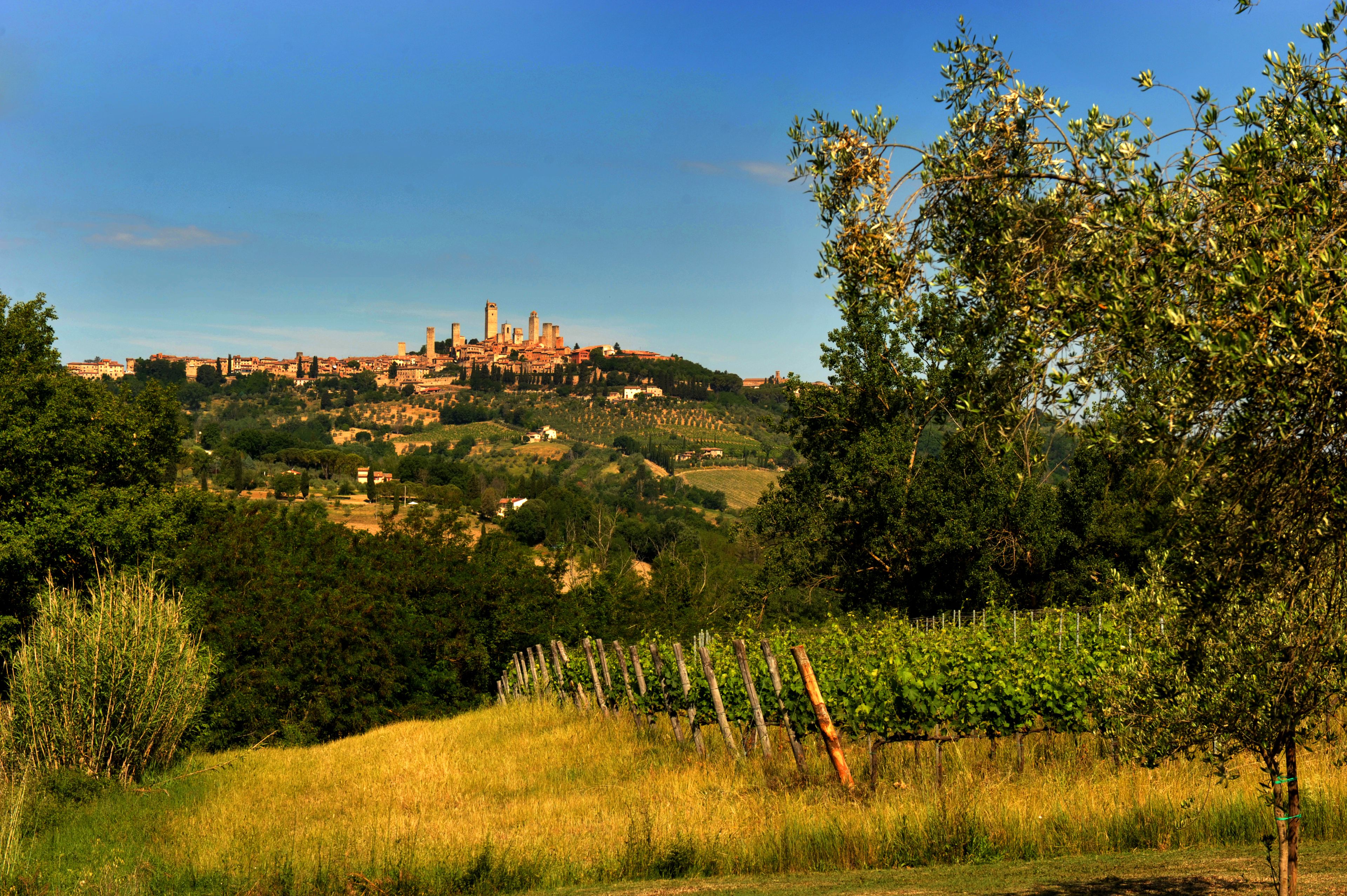 Foto - Agriturismo Il Segreto di Pietrafitta