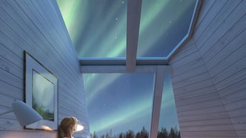 Superior Apartment with Sauna, Private Outdoor Spa Tub | View from room