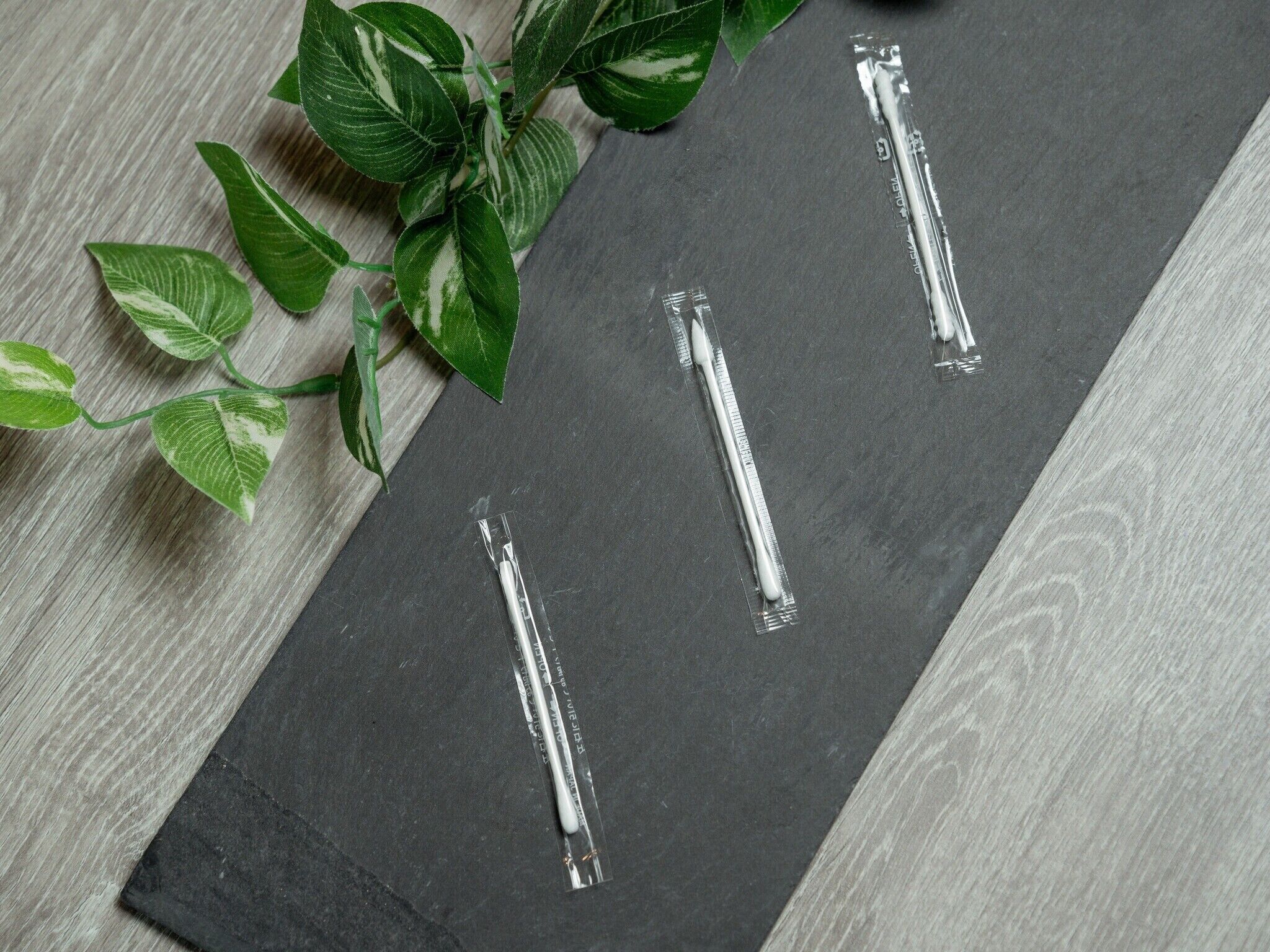 A dark slate surface with three transparent tubes and a green plant with variegated leaves.