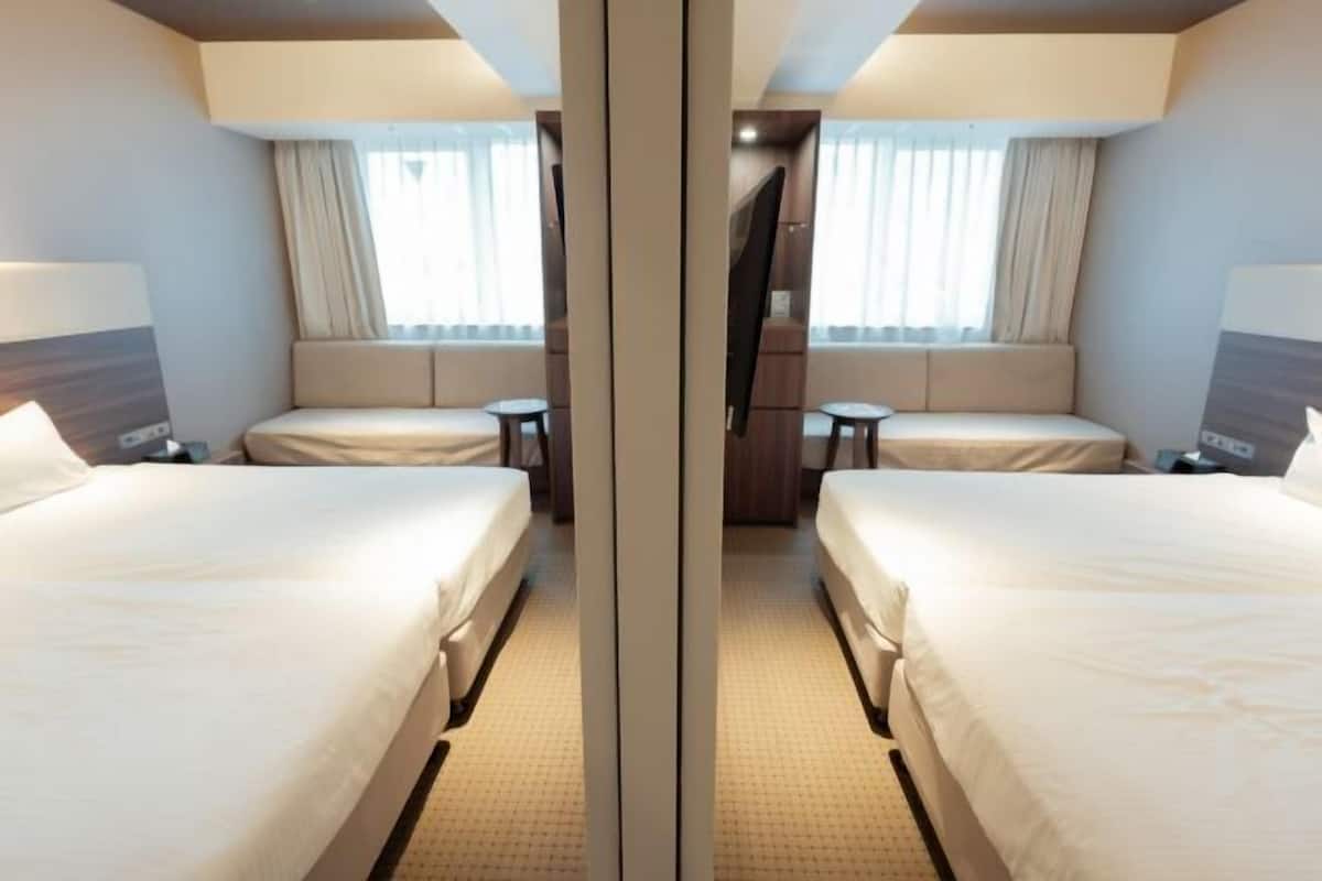Ropa de cama de alta calidad, edredones de plumas, cortinas opacas