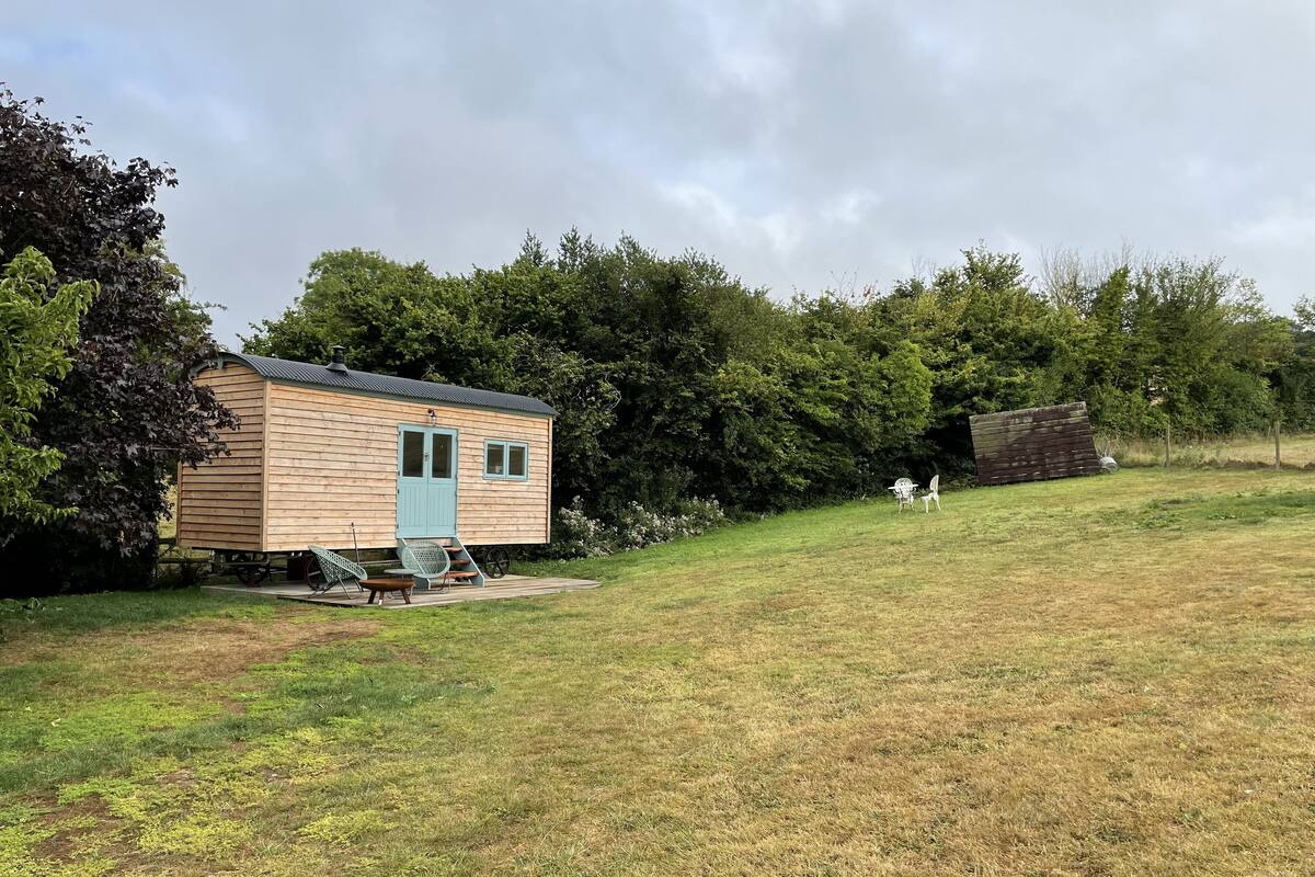 A small wooden cabin with a blue door and windows, situated in a grassy area with trees in the background.