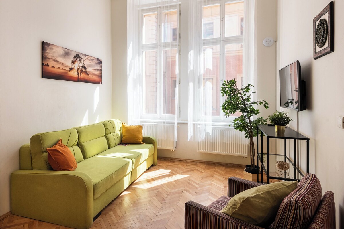 Comfort Apartment, 2 Bedrooms, Kitchen, Mezzanine (Apt 6) | Living area | TV