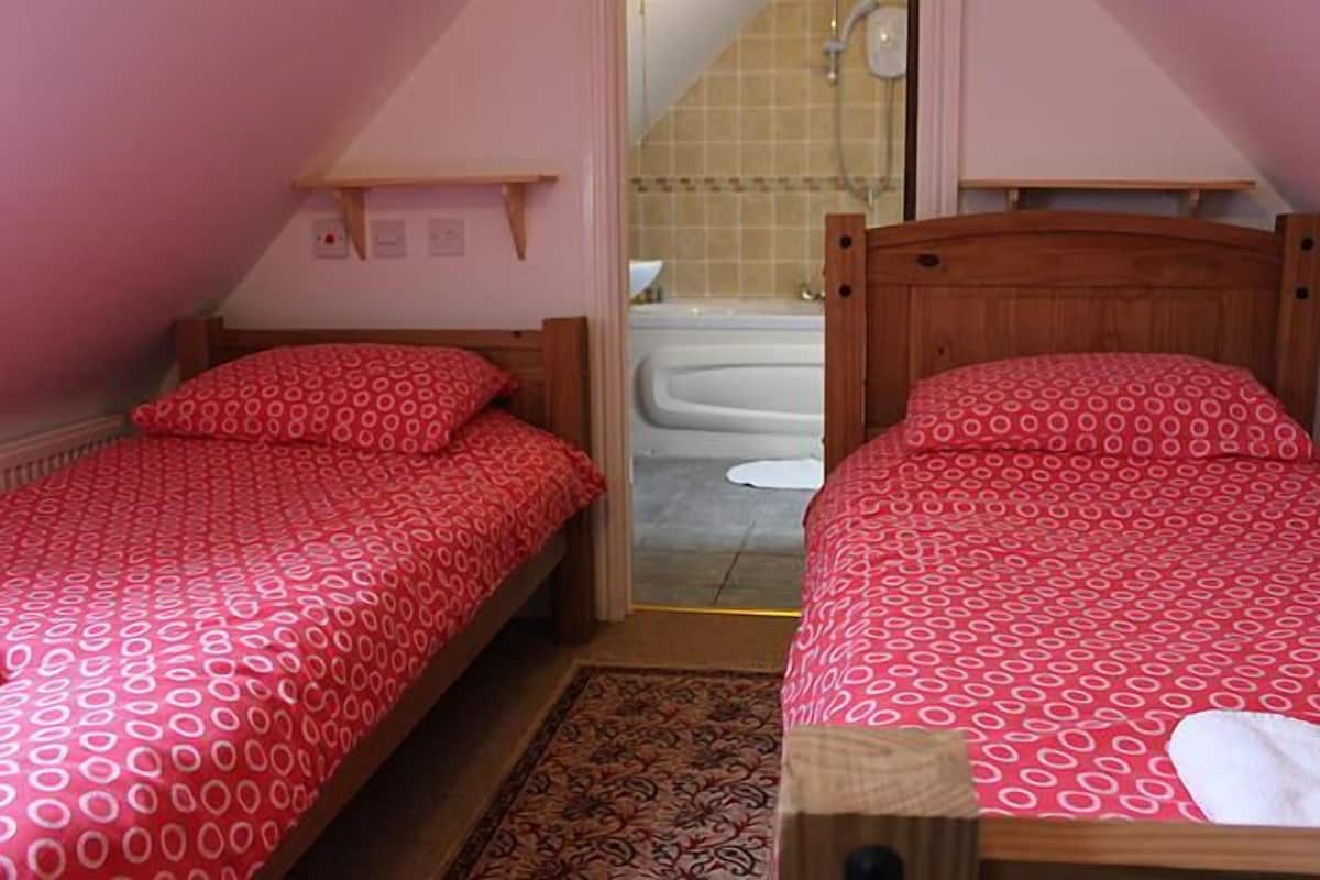 Standard Twin Room | Iron/ironing board (on request), WiFi (free)