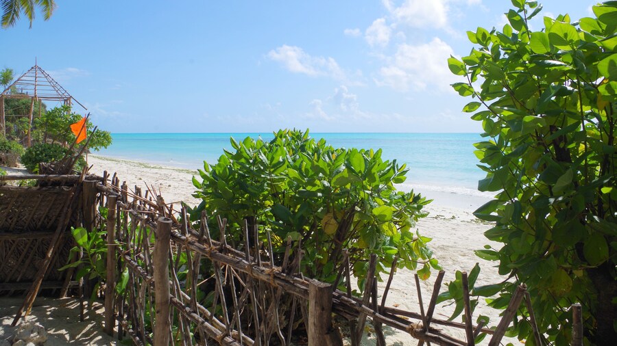 Kimte Beach Lodge