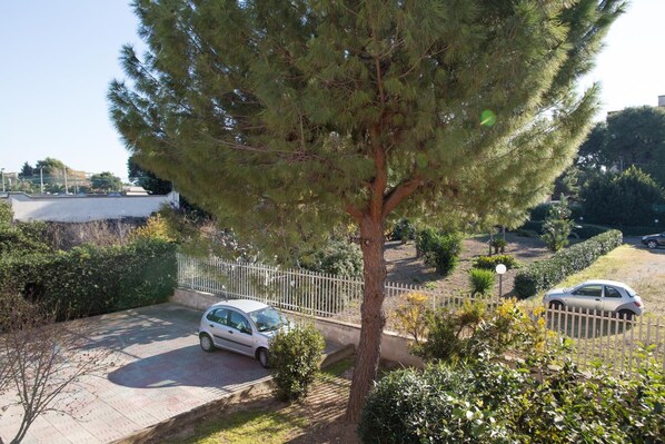 A residential area with a paved driveway, a white car parked on the street, and a large tree in the foreground.