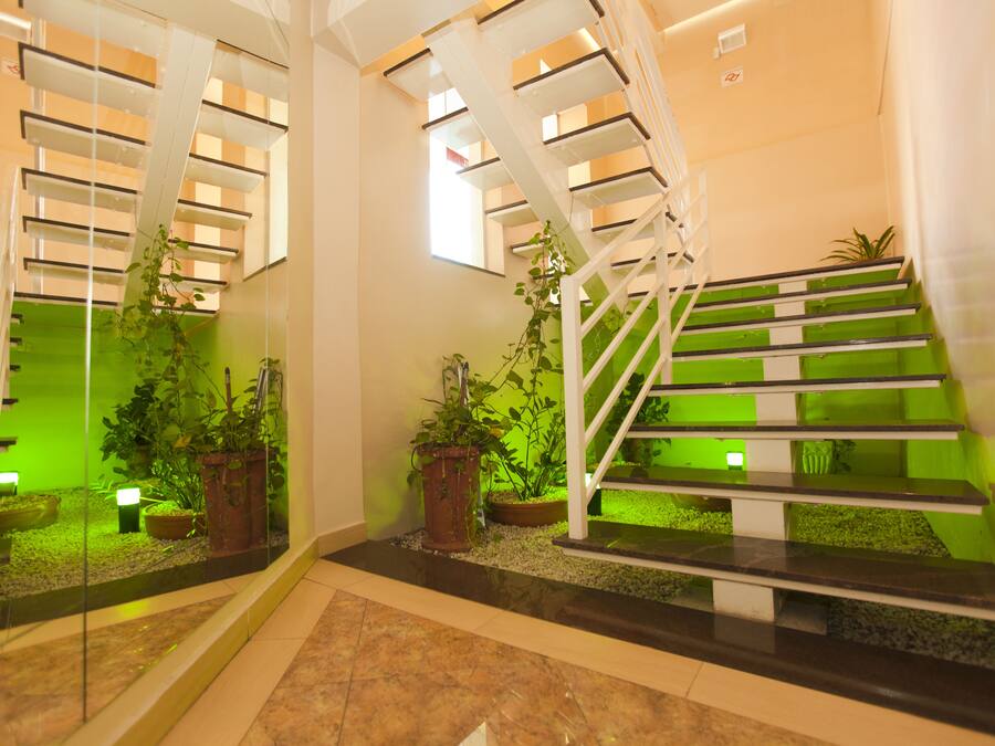 Una escalera moderna con barandas de vidrio y detalles verdes, rodeada de plantas en macetas y un suelo reflectante.