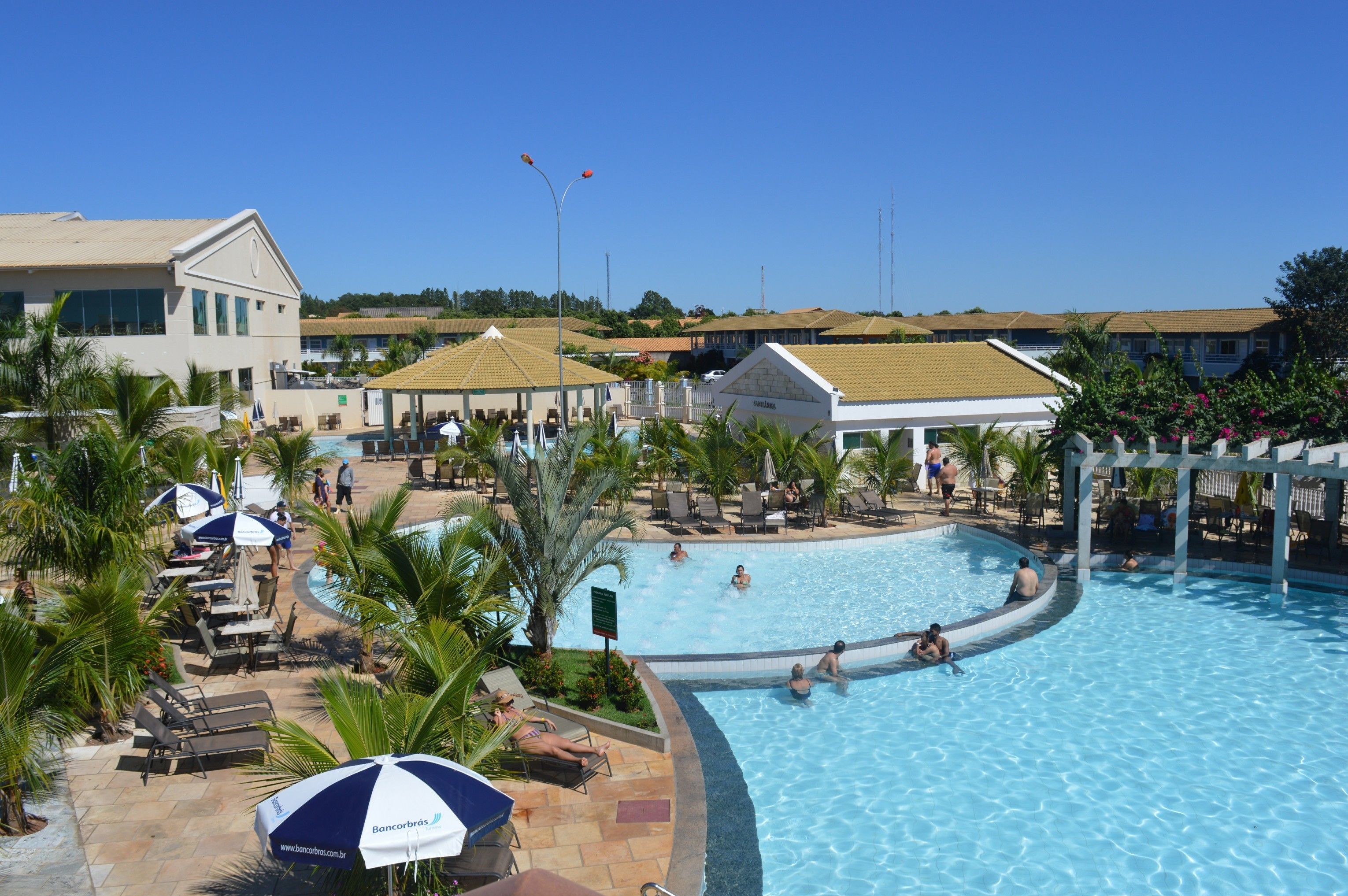 A swimming pool area with lounge chairs, umbrellas, and palm trees.
