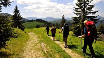Eine Gruppe Wanderer auf einem Feldweg, umgeben von Grün und Bergen.