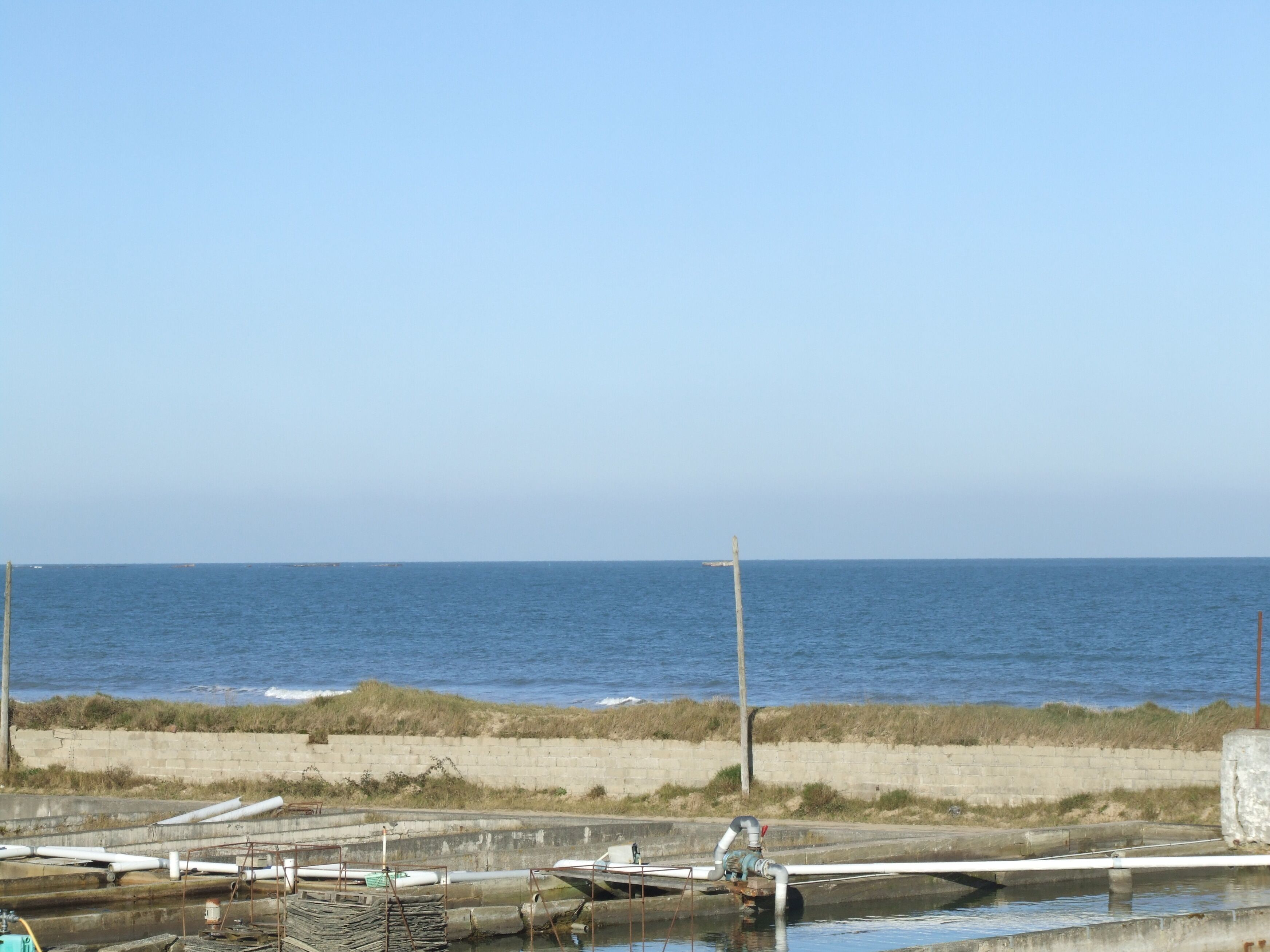 A coastal marina with boats docked, a concrete wall, and the ocean in the background.