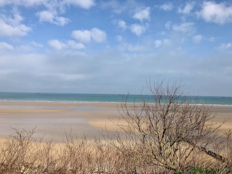 Beach/ocean view