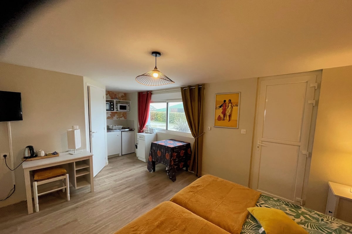 Una habitación funcional con cama, escritorio, kitchenette y televisor.