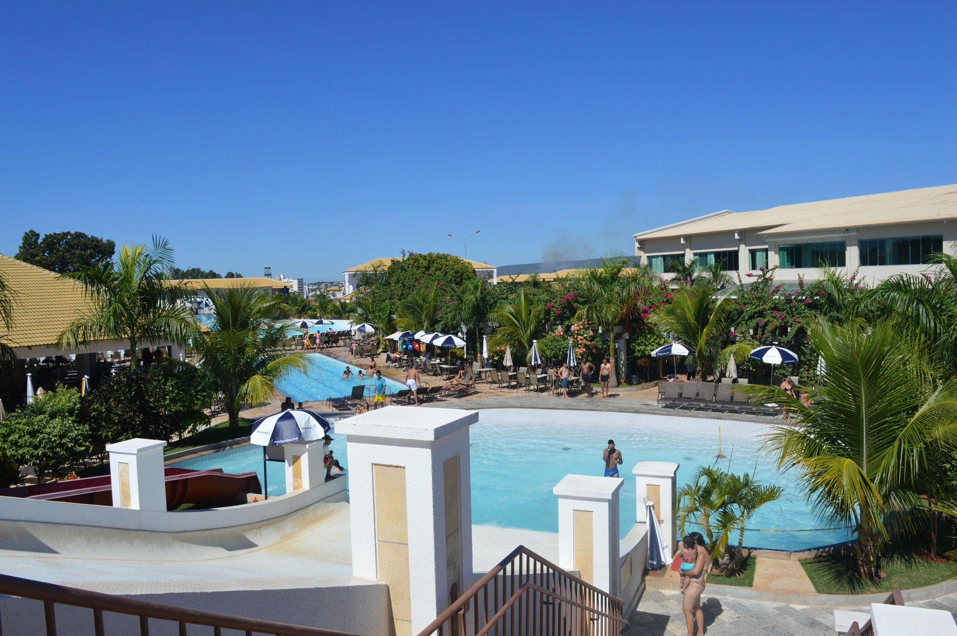 A resort with a large pool, sun loungers, umbrellas, and palm trees.