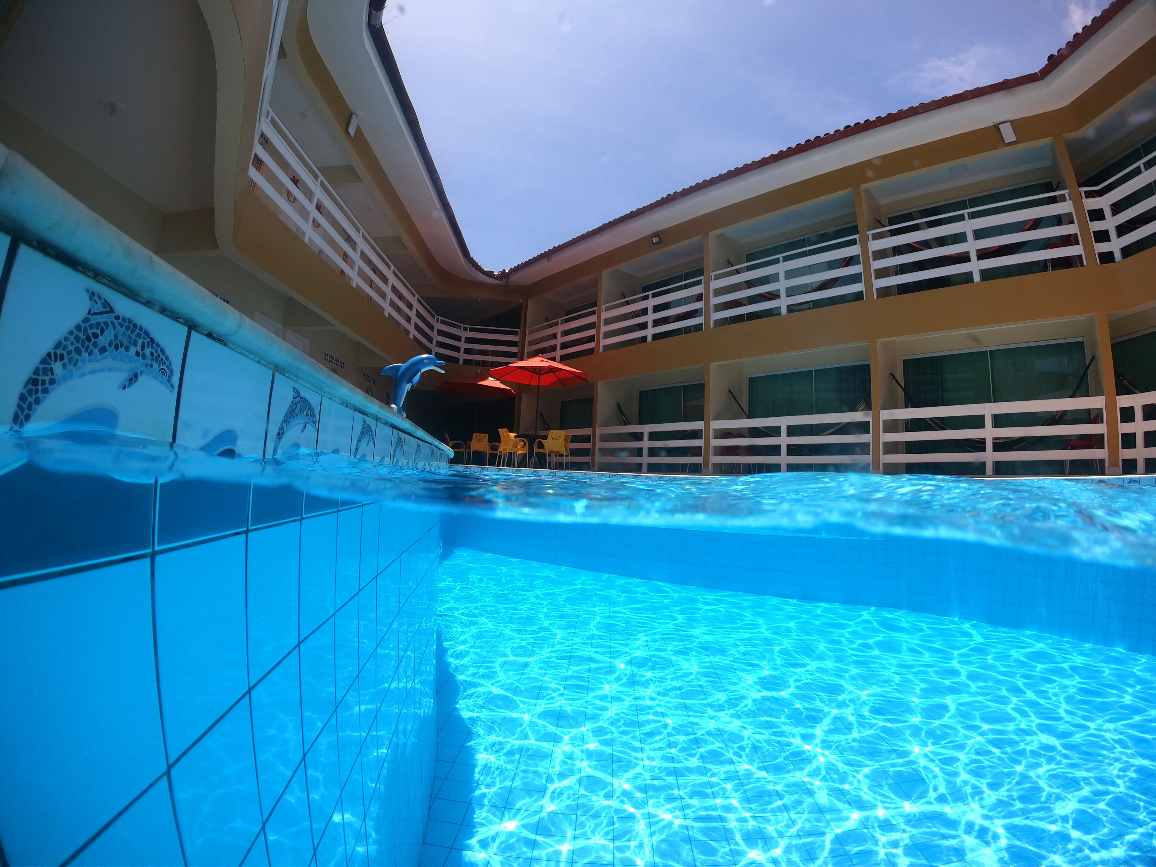 Una piscina interior con agua azul cristalina, un mural de delfines en la pared y un edificio de varios niveles con balcones al fondo.