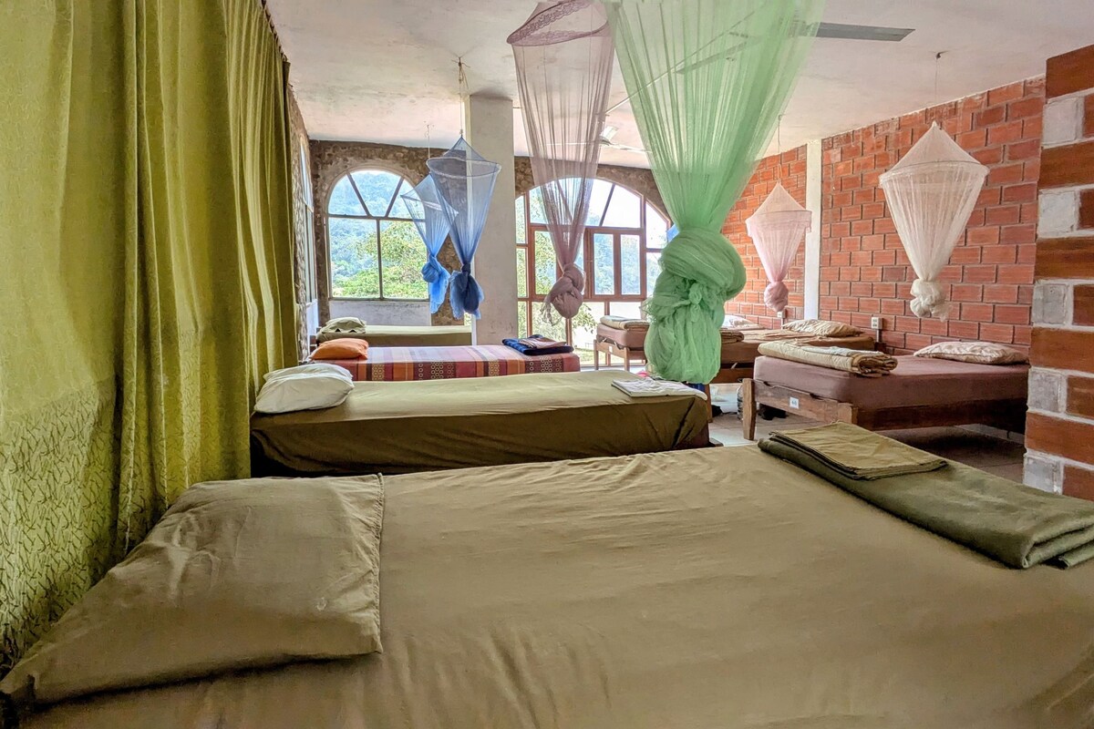 7BED DORM