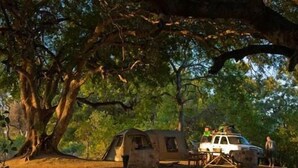 Unclassified image, 4 of 6, button - Molema Bush Camp - Campground (Tuli Lodge)