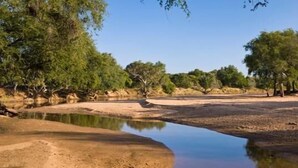 Unclassified image, 5 of 6, button - Molema Bush Camp - Campground (Tuli Lodge)