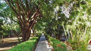 A paved pathway lined with lush greenery and trees, leading into a park area. - Hotel Río Tempisque (Nicoya)