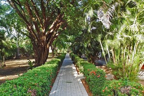 Property grounds - Hotel Río Tempisque (Nicoya)