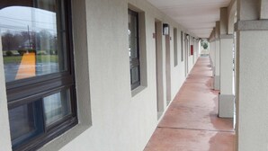 Ảnh chưa phân loại, 4 trong số 11 ảnh, nút