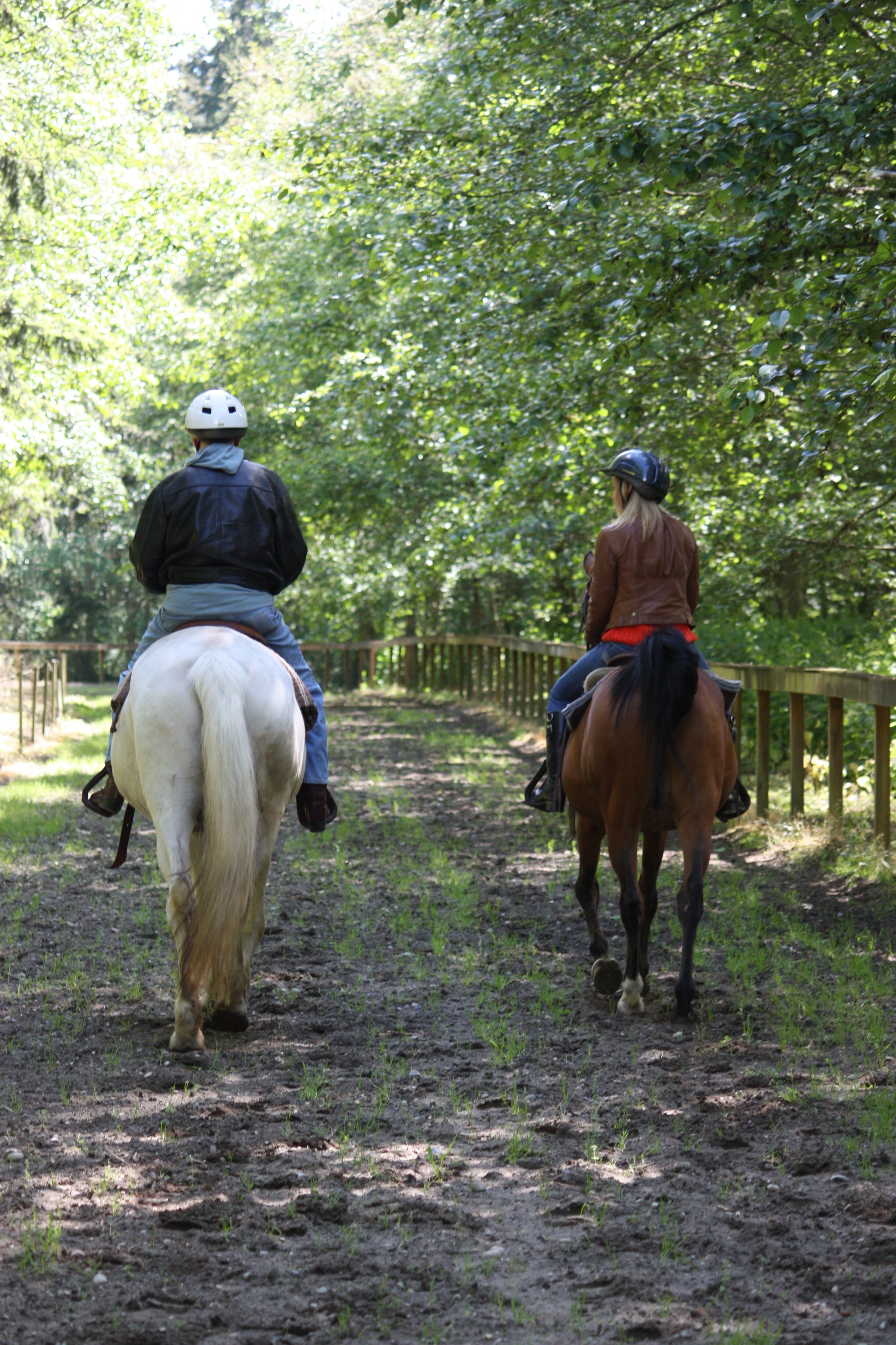 Two people riding horses on a dirt path surrounded by trees.