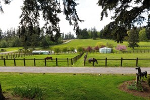 Chambre Standard, 1 grand lit, non-fumeurs | 1 chambre, literie de qualité supérieure, décoration personnalisée