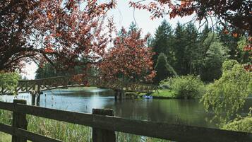 Eine Holzbrücke über einem stillen See, umgeben von Bäumen mit Herbstlaub, ein Holzzaun im Vordergrund und Boote auf dem Wasser.