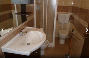 Shower, free toiletries, hair dryer, bidet
