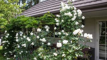 Ein Haus mit einem Garten, der weiße Rosen und grüne Bepflanzung zeigt.