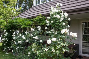 Property grounds - The Loft (Taupo)