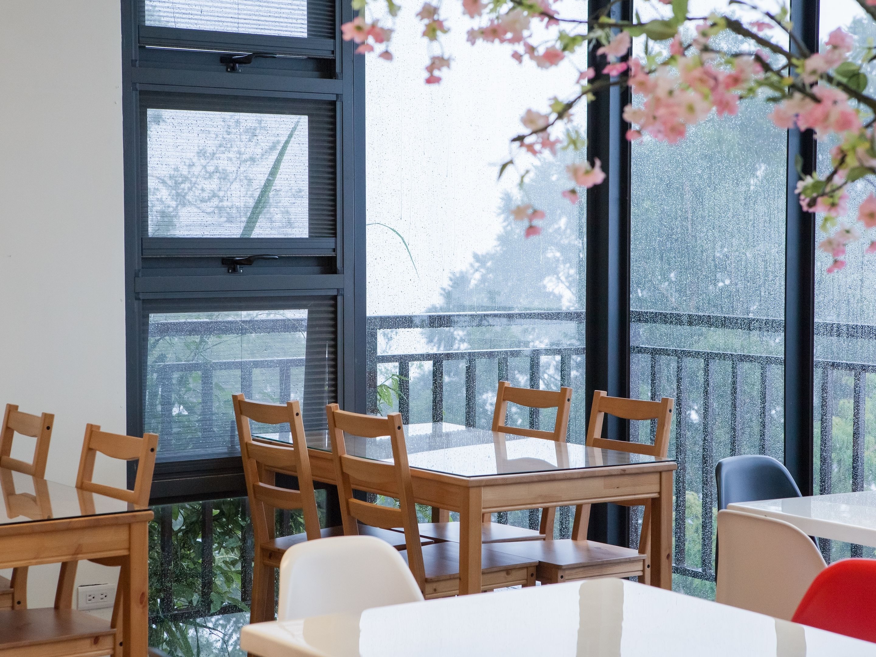 Zona pranzo con sedie in legno e tavolo in vetro, ampie finestre con vista su un balcone e una pianta in primo piano.