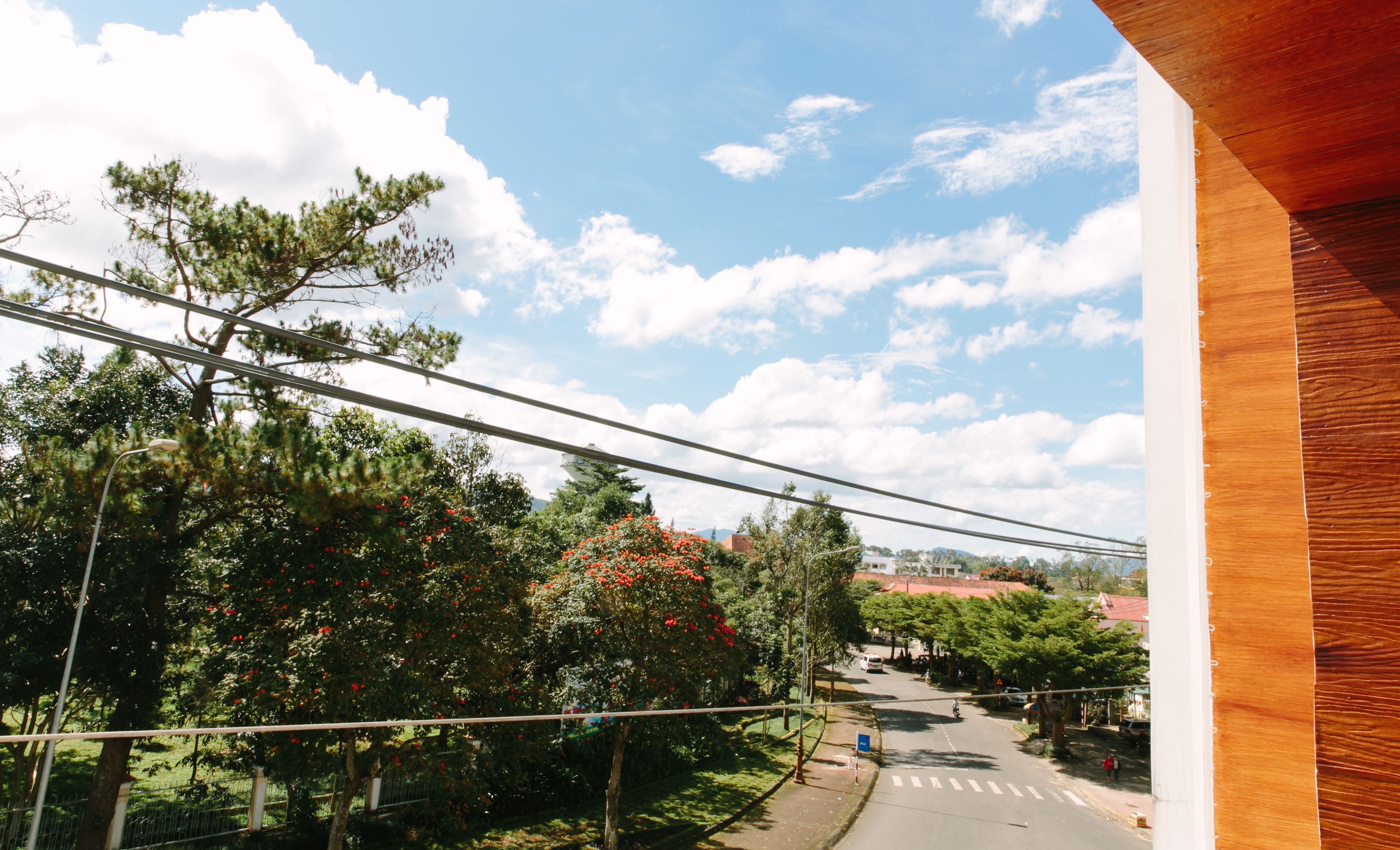 A street view with trees, a clear sky, and a distant building.