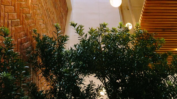 A corridor with a brick wall on one side and a wooden slatted wall on the other, leading to a bright exit. - Minh Nhung Hotel (1 Bao Loc)