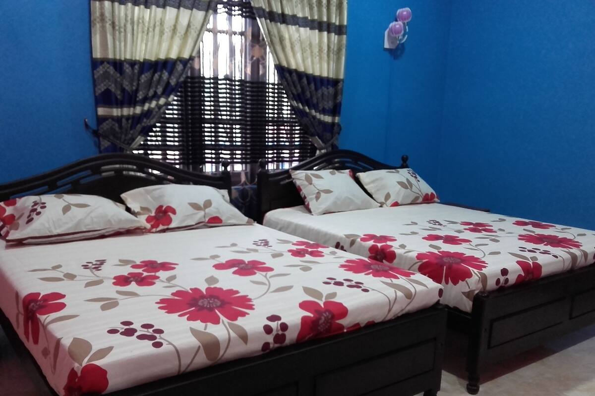 Desk, soundproofing, free rollaway beds, free WiFi